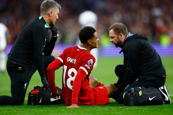 利物浦伤情更新：科迪·加科波，蒂亚戈·阿尔坎塔拉和斯特凡·巴耶切蒂奇的最新消息和复出日期