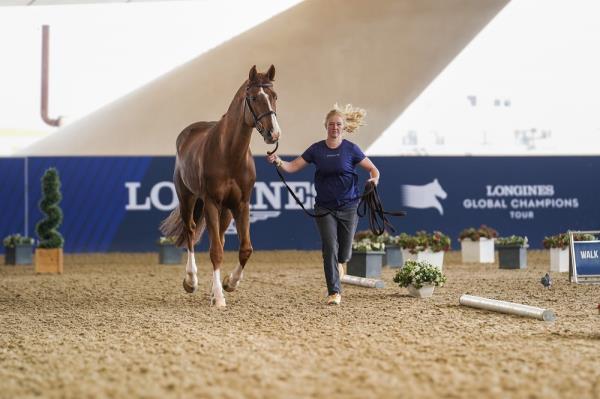 LGCT揭幕战在多哈拉开帷幕