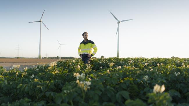 信号：英国缺乏实现净零承诺的绿色投资